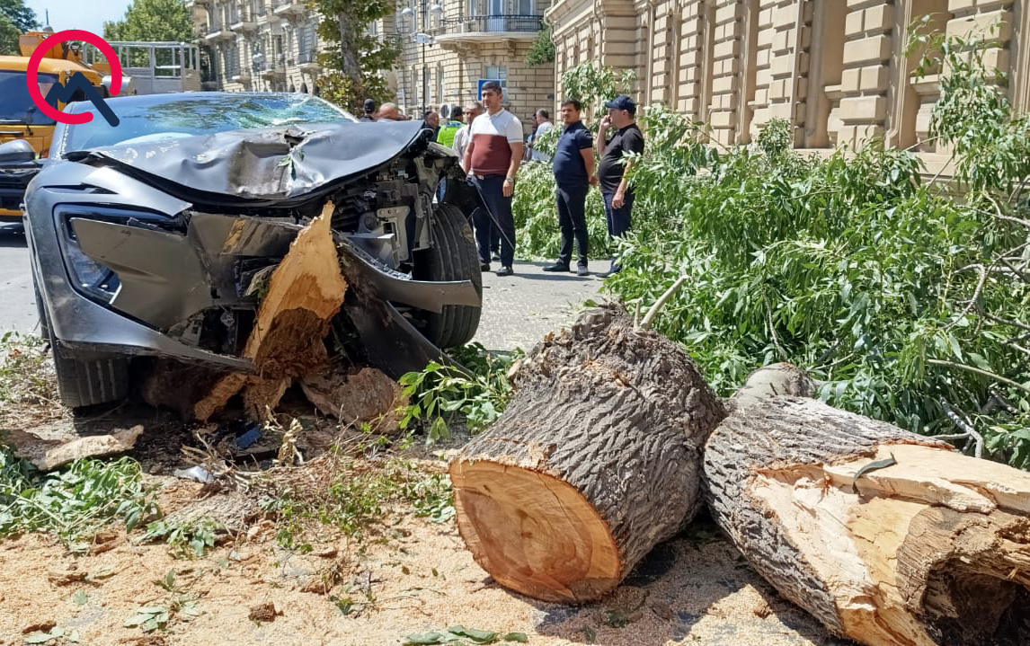 bakinin-merkezinde-sukani-bloklanan-masin-agaca-cirpildi