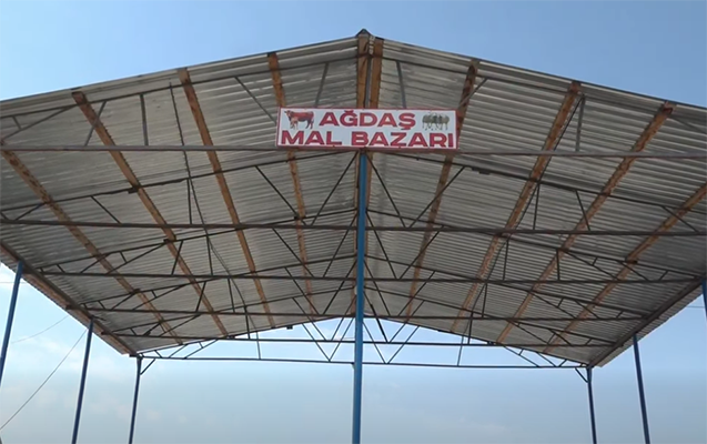 agdasdaki-mal-bazari-yeniden-acildi