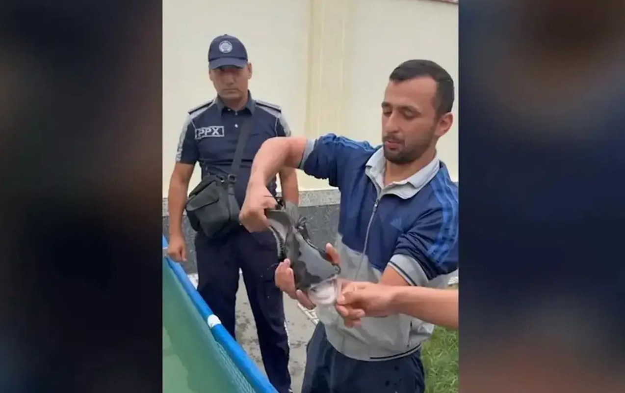 zirzemide-kopekbaligi-saxladigi-iddia-edildi