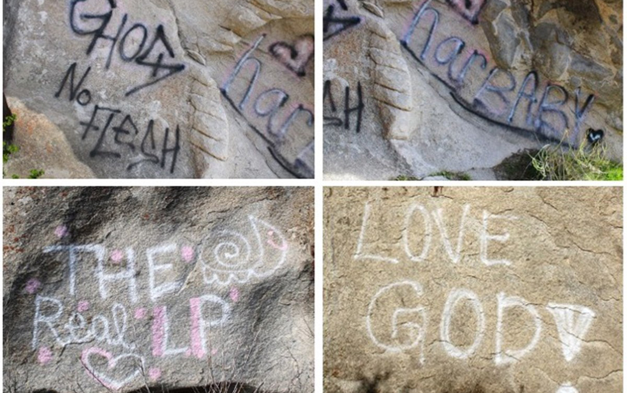abs-de-milli-irs-vandalizmden-nece-qorunur