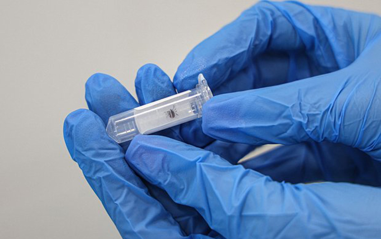 pekinde-geneler-vasitesile-yayilan-yeni-virus-novu-tapildi