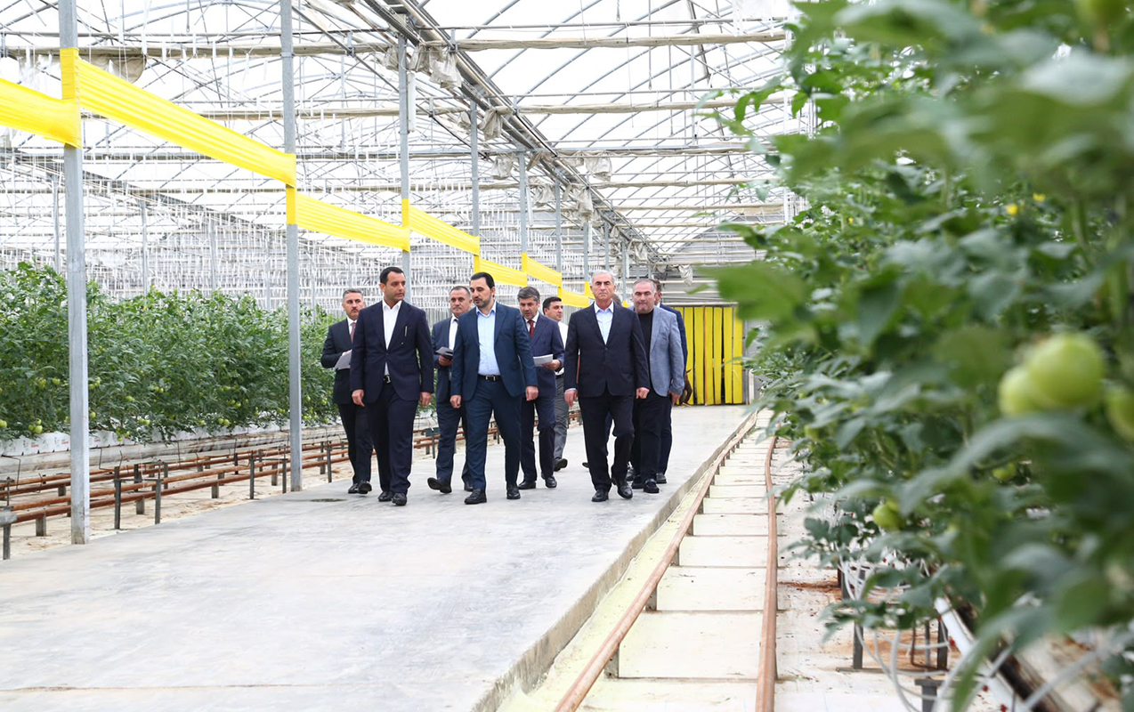 haciqabulda-dovlet-proqraminin-icrasi-yerlerde-oyrenildi