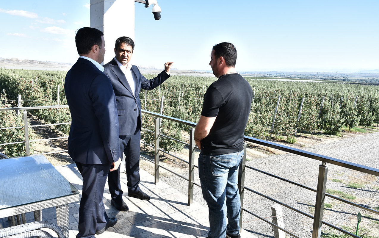 agstafada-aqropark-ve-iri-fermer-teserrufatlarinda-monitorinq-aparilib