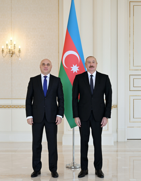 Prezidentin qəbuluna gələn səfirdən maraqlı addım - FOTOLAR 4 8
