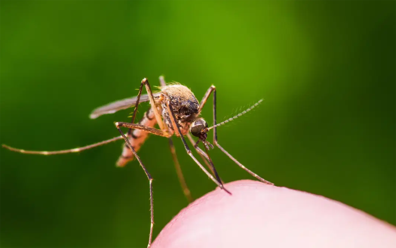 ilk-defe-insanda-askarlanan-virus-olume-sebeb-oldu