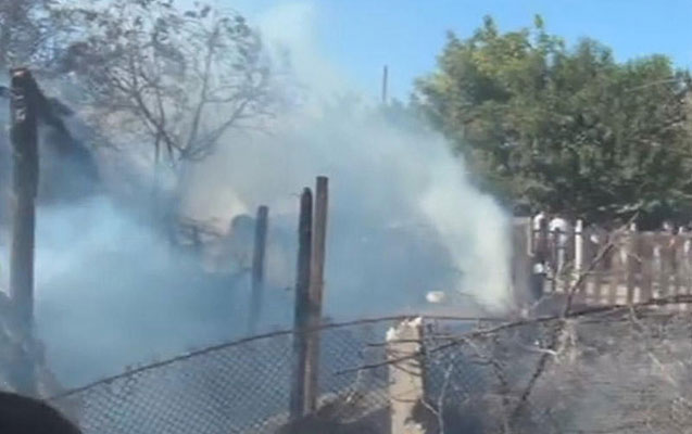 tovle-heyvanlarla-birge-yandi