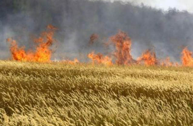 kurdemirde-5-hektar-bicilmemis-taxil-sahesi-yanib
